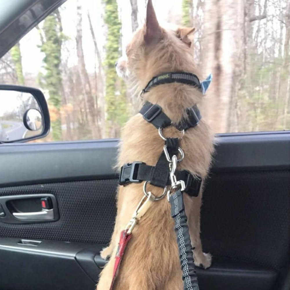 PAWPAL - Adjustable Dog Seat Belt.