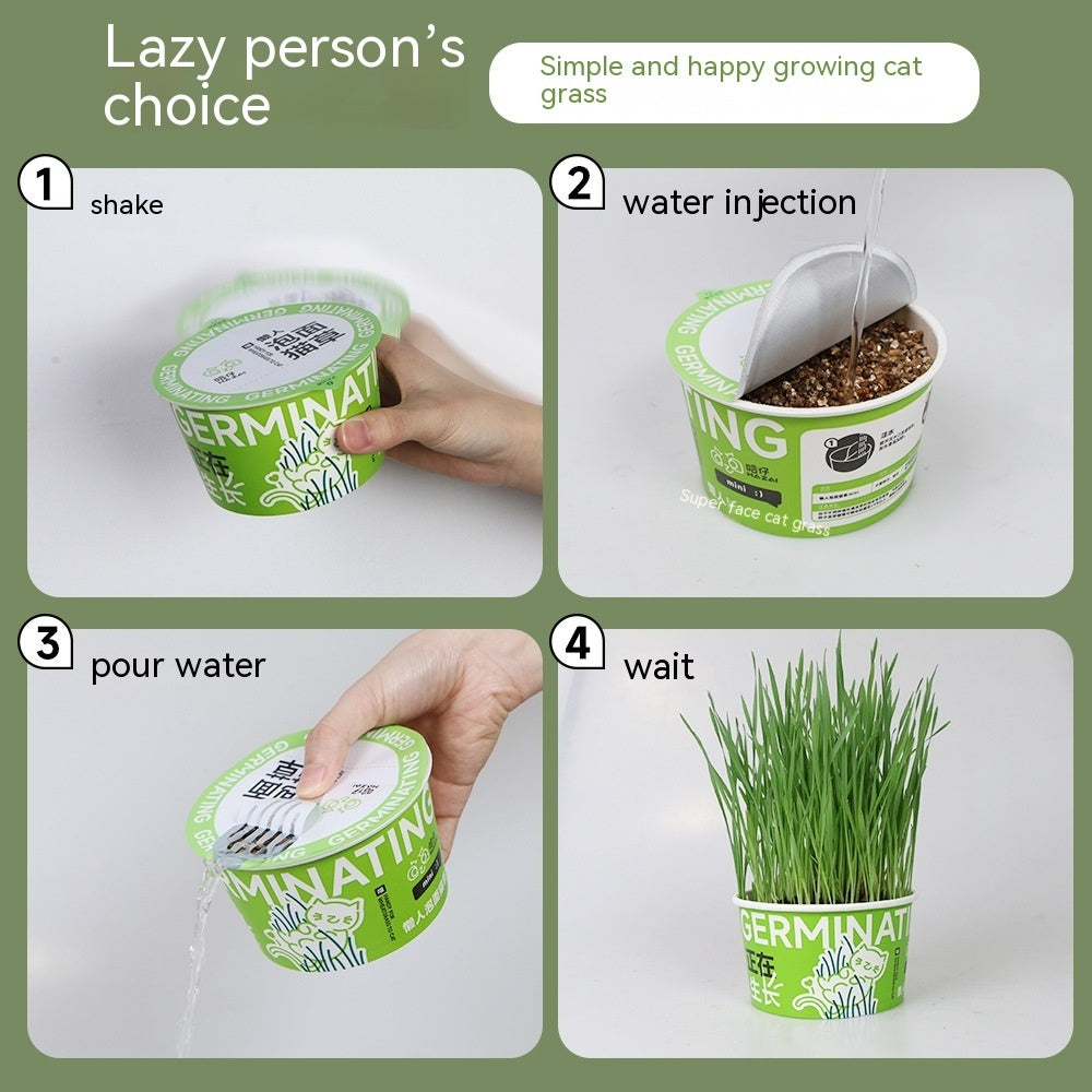 PAWPAL-Hydroponic Cat Grass.